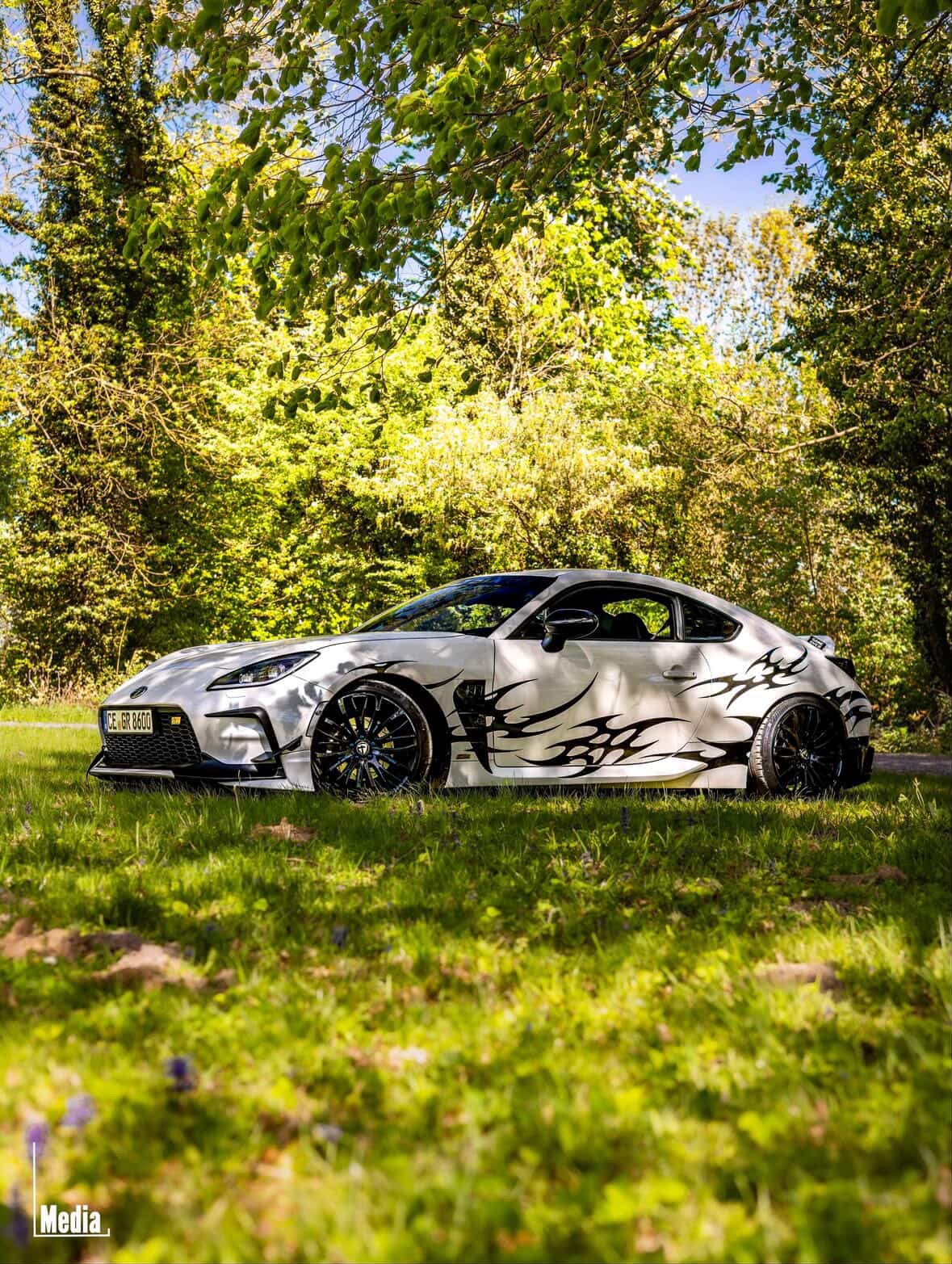 LIVERY