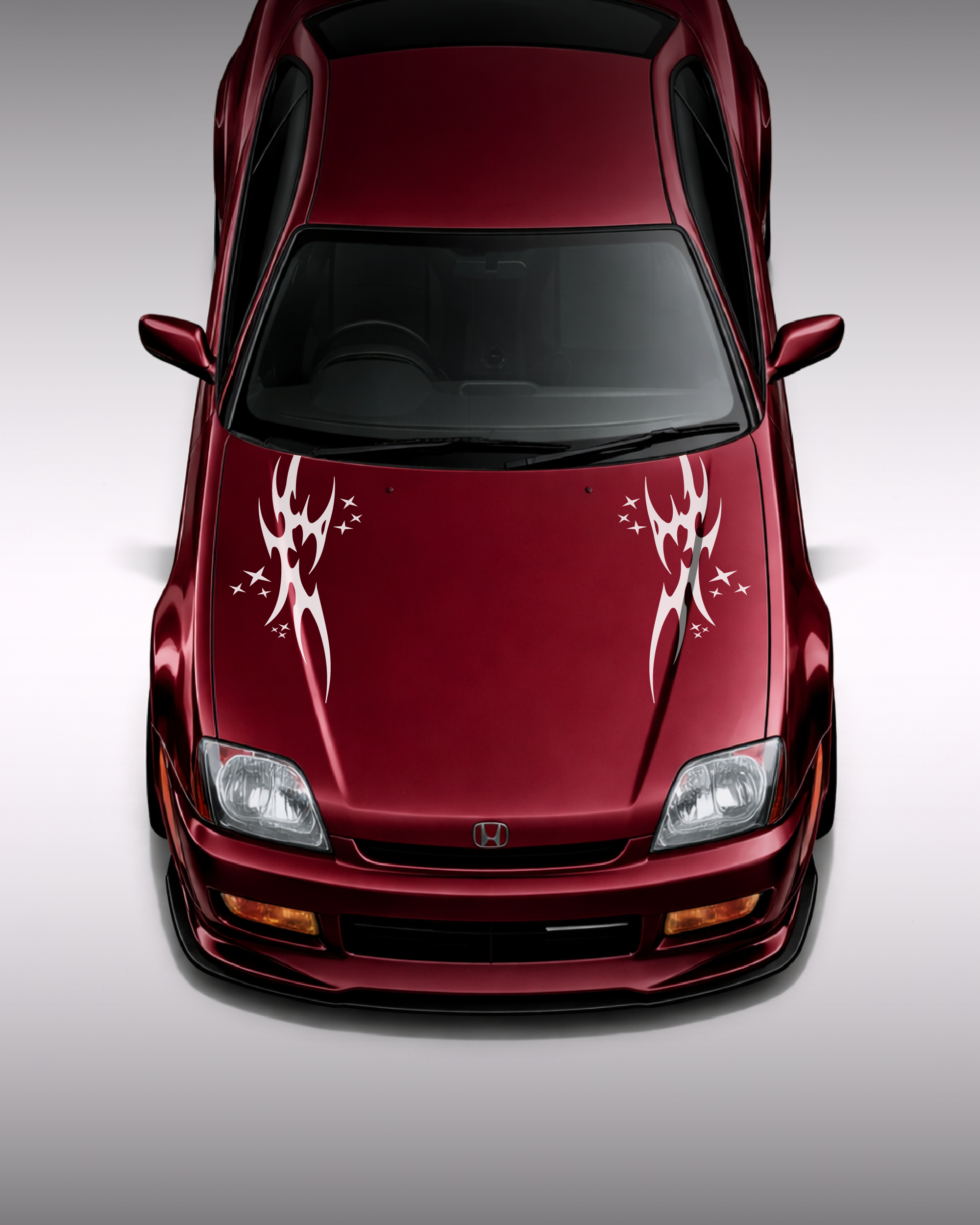 COSMIC TRIBAL STAR LIVERY
